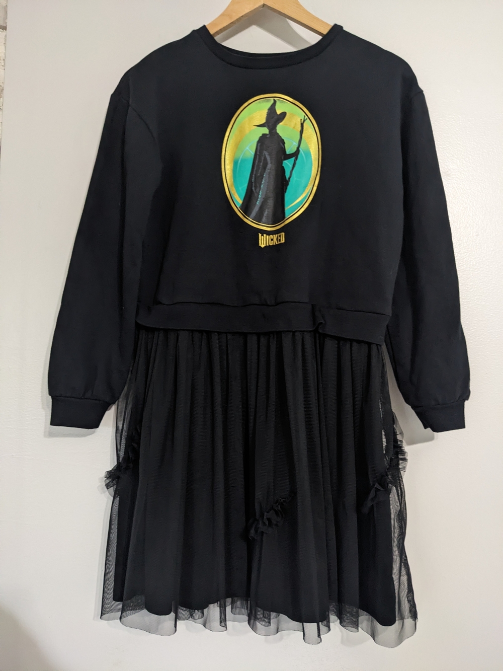 Universal Studios Wicked Dress Youth XL Halloween Witch Pop Culture Emo Goth